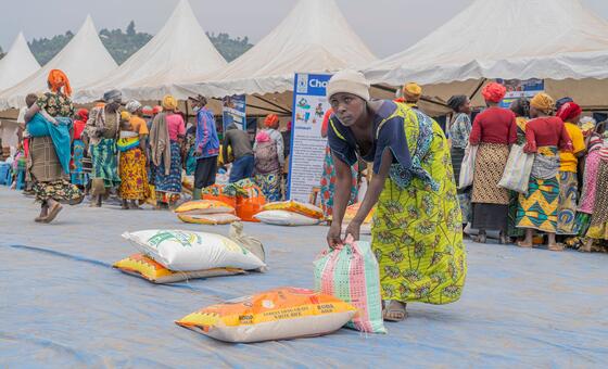 World News in Brief: UN Support Office in Haiti, Goodwill Ambassador Theo James in Syria, urgent appeal for millions in DR Congo